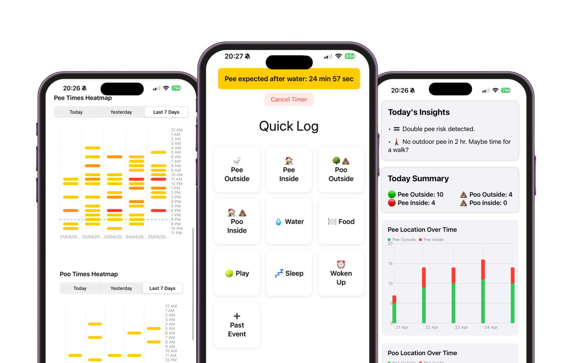 app mockup